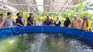 Budidaya Ikan Bioflok Palu