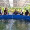 Budidaya Ikan Bioflok Palu