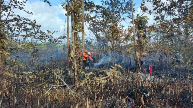 Karhutla Banggai Kepulauan