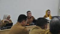 sistem e-Gov Palu