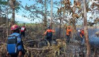 Prakiraan Karhutla Sulteng