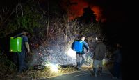 Kebakaran Hutan dan Lahan