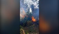 Kebakaran Hutan Donggala
