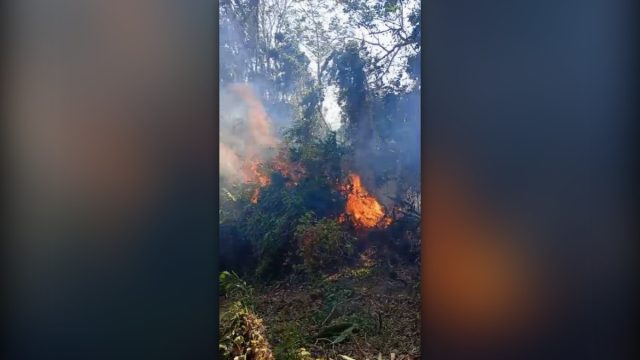 Kebakaran Hutan Donggala