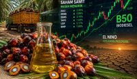 Saham Sawit