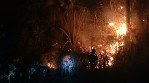 Karhutla Padang Uloyo