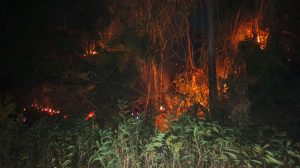 Polda Sulteng Antisipasi Karhutla