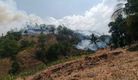 Karhutla Desa Balamoa Sigi