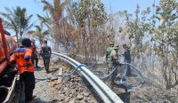 kebakaran hutan dan lahan
