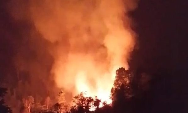 Kebakaran Lahan Parigi Moutong